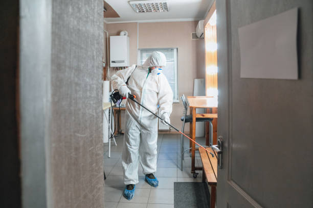 Why You Should Choose Our Mold Remediation Services in Allison, IA